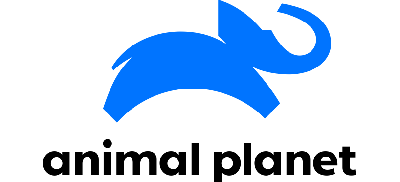 Logo TV stanice Animal Planet